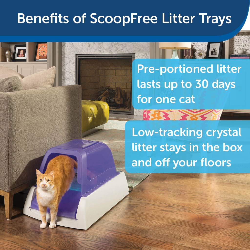 PetSafe ScoopFree Ultra Automatic Self Cleaning Hooded Cat Litter Box