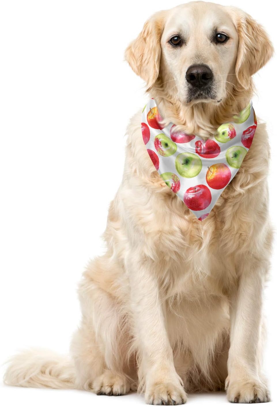 dogs granny smith apples