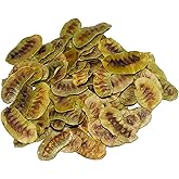 MOTHERLAND GOODS Senna Pods, Senna Organic herbal tea, Derived from Senna Plant, Herbal leaves, Pair with Ginger and Peppermint for Improved Effectiveness (1.5 Oz)