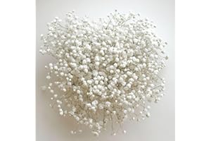 GlobalRose 30 Stems of Fresh Cut Gypso Perfecta Fillers - Baby's Breath Fillers - Fresh Flowers Perfect for Wedding, Baby Shower, Bridal Shower or Events