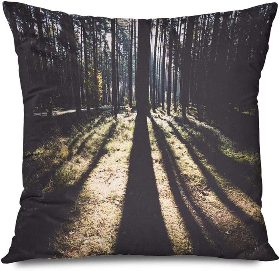 DANGCCI Throw Pillow Cover Square 16x16 Inches Color Morning Sun Autumn Sunlight Sunrise Forest Grass Latvia Nature Vintage Design Walking Hiking Decorative Pillow Cushion Case Home Decor Pillowcase