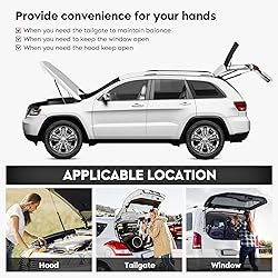 Rear Hatch Trunk Liftgate Lift Supports Tailgate