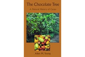Chocolate Tree