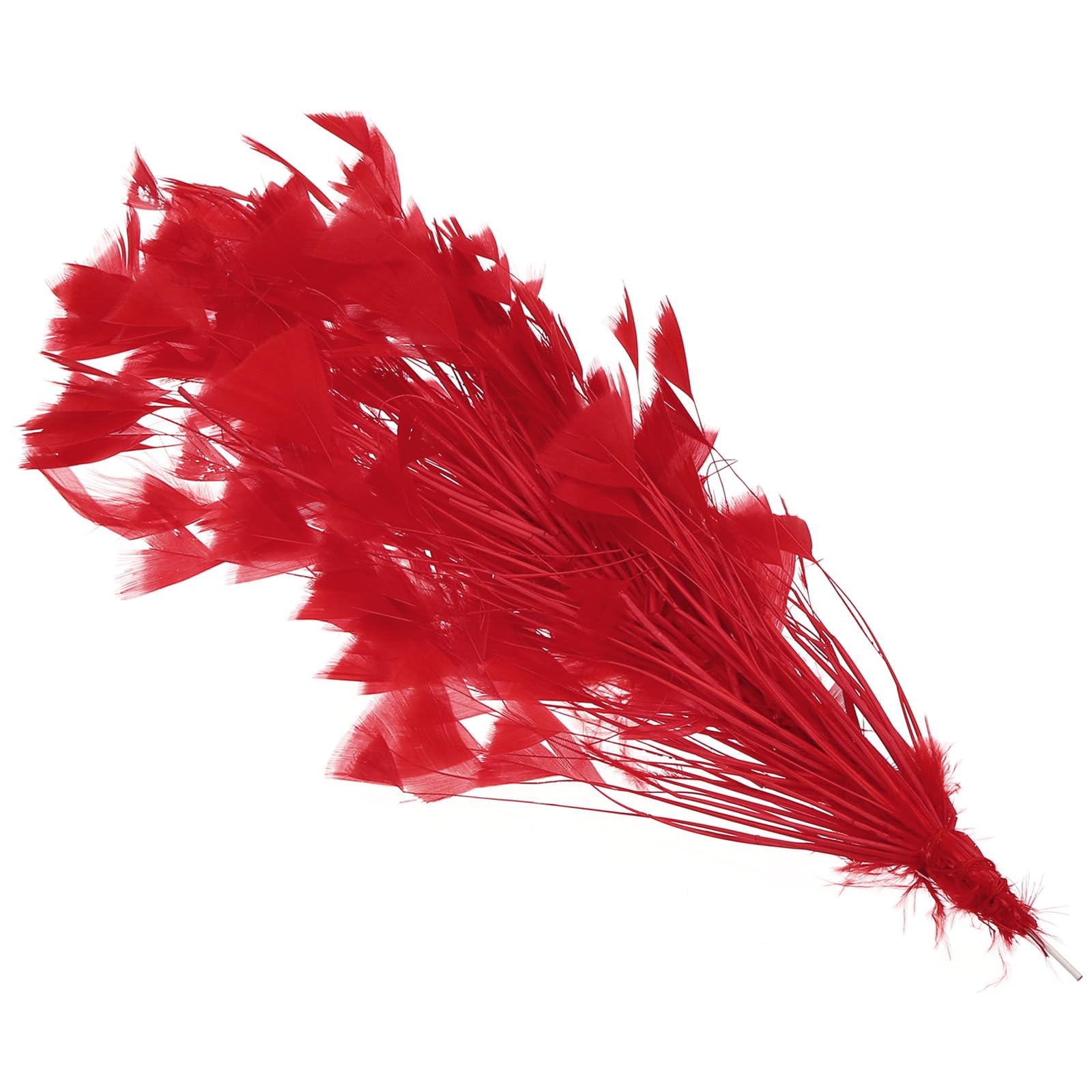 PATIKIL 10-12 Inch Turkey Feathers, 1 Set Fluffy Bulk Natural Feathers for Crafts Carnival Handwork Clothing Costumes Wedding Party, Red