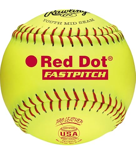 Seau Rangement Baseball Rawlings Lot De 24 Balles De Baseball Officielles - Jeunesse 8U Avec Seau Pratique Balle De Baseball