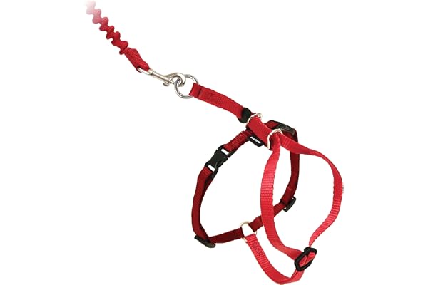 PetSafe Come with Me Kitty Harness and Bungee Leash, Harness for Cats, Large, Red/Cranberry