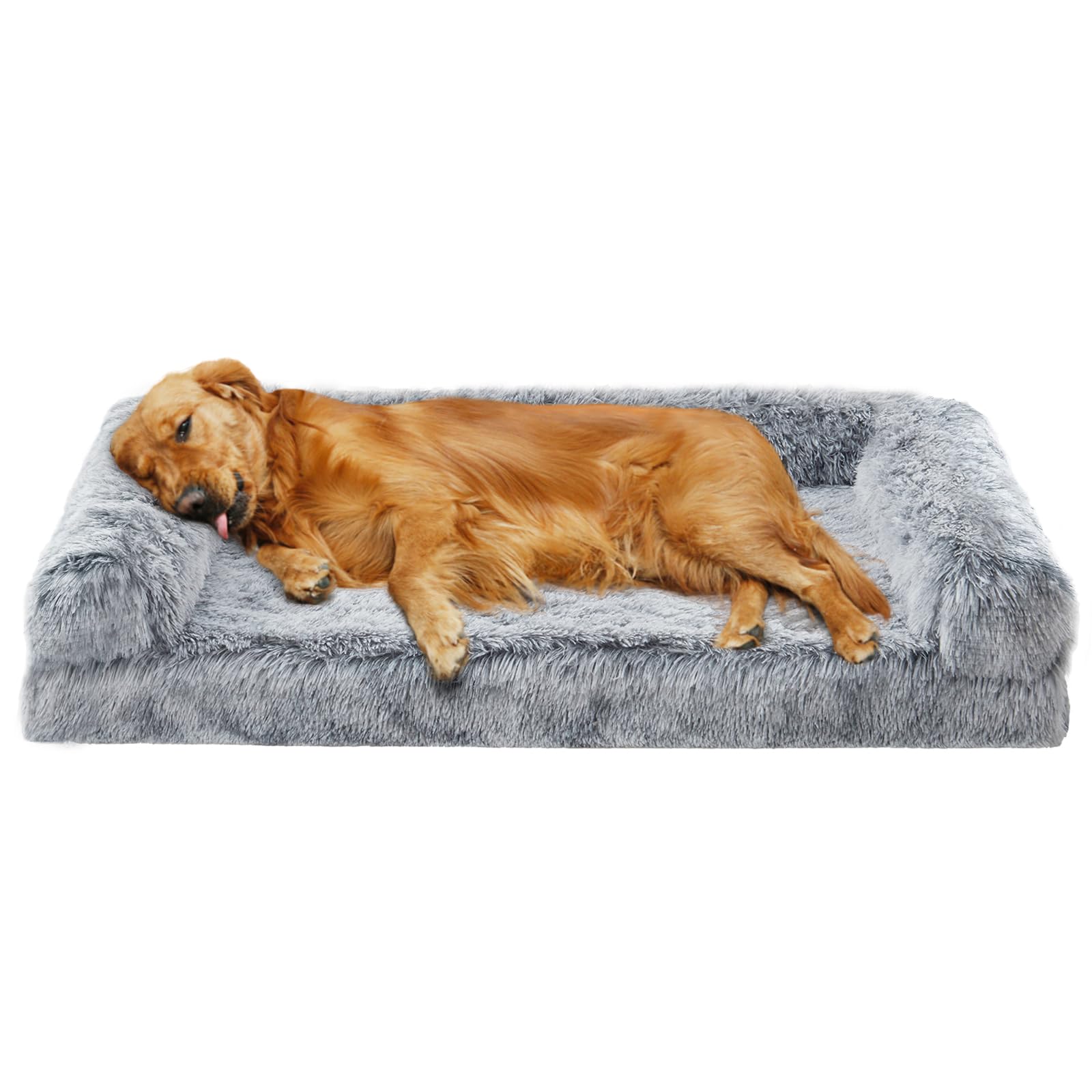 Beautiful view of High-Density Orthopedic Dog Beds