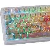 JOMKIZ PBT Keycaps Cherry Profile Shine Through, 133 Keys Dye-Sublimation | Garden Oil Painting Design, Side Printed, Oil Painting Art Style, RGB Backlight Support, 60% 65% 75% 100% Keyboard Layouts