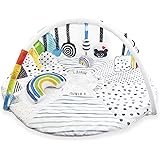 carter's shoot for the moon play gym