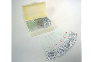 LABSTOCK Prepared Slide, Human Eptihelium Comparison, Classpack of 15 Sides