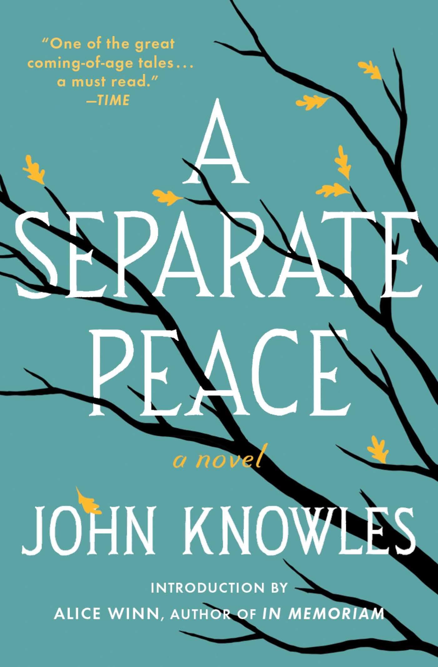 Photo 1 of [By John Knowles ] A Separate Peace (Paperback)?2018?by John Knowles (Author) (Paperback)