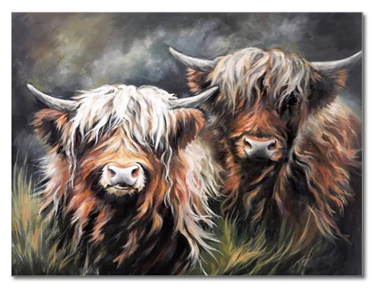 Shukqueen Highland Cow Painting by Numbers for Adults, DIY Oil Painting Kit for Beginner, Canvas Painting for Wall Decor, Cow, 20x26 Inch, Frameless