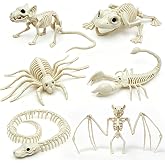 6PCS Halloween Animals Skeleton with Bendable Tails and Movable Jaws | Bat Frog Scorpion Spider Snake Rat Plastic Animal Skeletons for Halloween Party Haunted House Graveyard Scene Decoration
