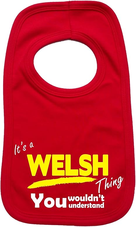 novelty baby bibs