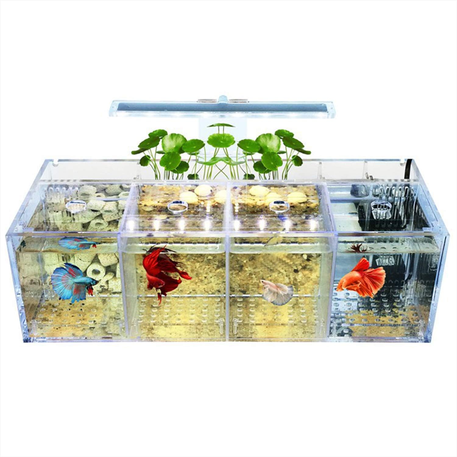 NUOBIKJ Fish Tank Thai Betta Acrylic Fish Tank Special Mini Fish Fish Box Separable