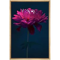 SIGNWIN Framed Canvas Print Wall Art Neon Pink Flower on Dark Background Botanical Wilderness Digital Art Realism Glam Closeup Colorful for Living Room, Bedroom, Office - 16