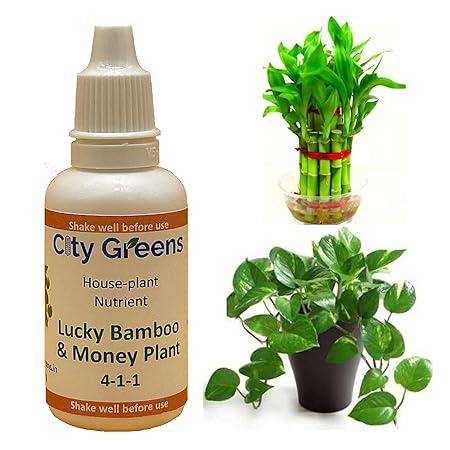 City Greens House Plant Fertilizer for Lucky Bamboo and Money Plant - Three Bottles, 30ml Solution Each