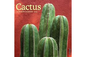 Cactus 2025 12" x 12" Wall Calendar