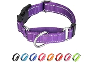 BXPAW Martingale Collar for Dogs,Reflective Martingale Dog Collars with Quick Release Buckle,Adjustable Nylon No Pull Dog Collar for Dogs Walking Training (Orange, Medium)