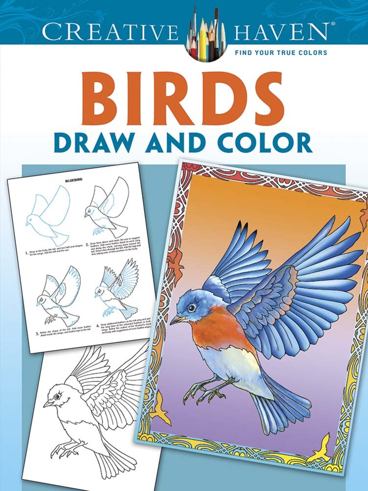 Amazon Com Creative Haven Birds Draw And Color Creative Haven