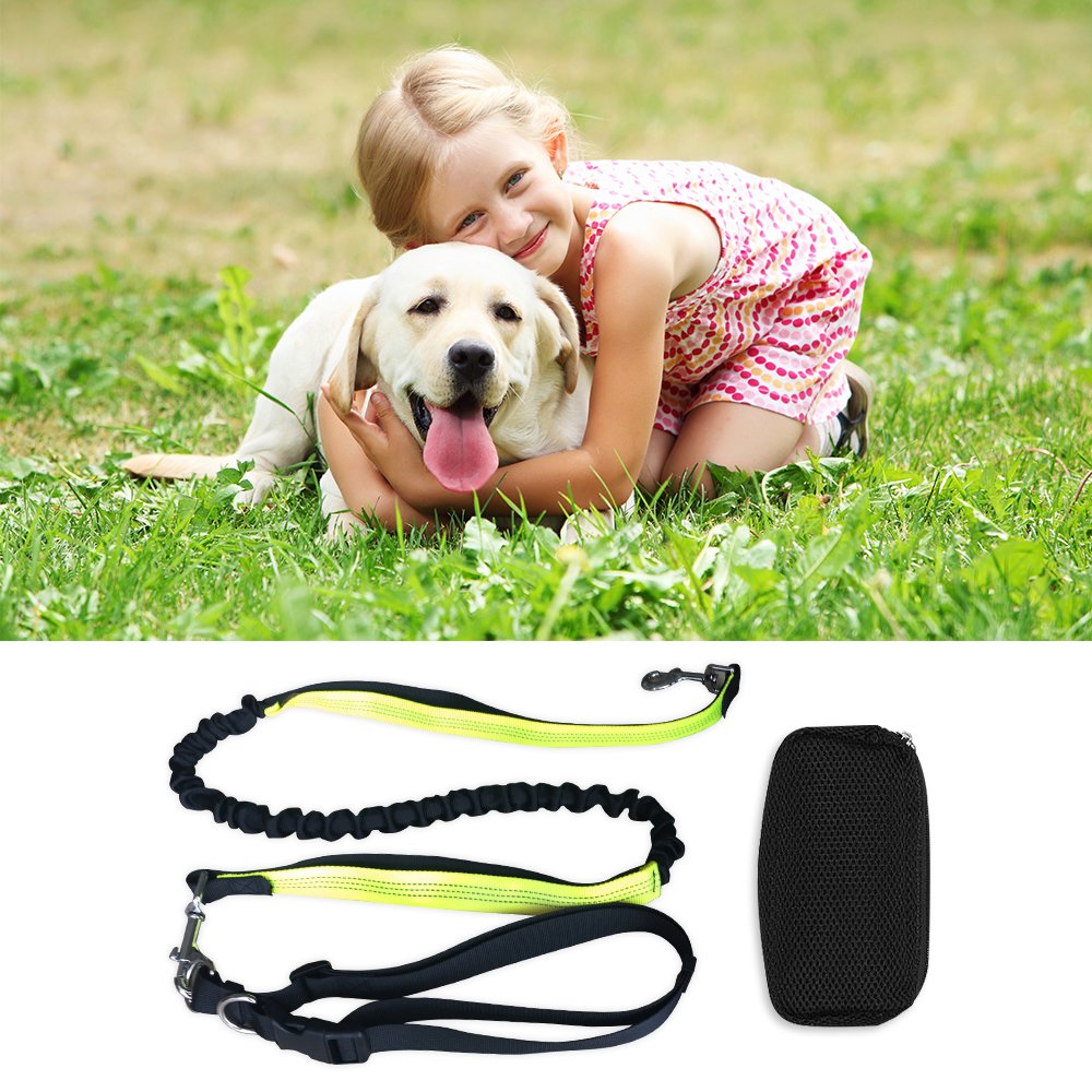 Roadwi Hands Free Dog Leash, Dual Handle Bungee Leash for Shock Absorbing, Adjustable Waist Belt with Storage Bag for Running, Hiking, Jogging or Walking (Green)