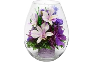 Fiora Flower Elegant Orchid Arrangement in Glass Vase | Preserved Real Orchids Lasting 5 Years | Ideal for Home Decor or Roma