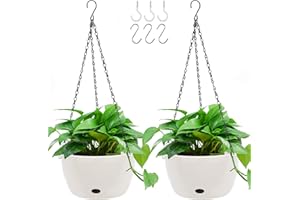 GROWNEER Hanging Planter Pot for Indoor 2 Packs 9.4 Inch Plants Self Watering Hanging Basket with 6 Pcs Hooks, Plastic Wall Flower Pot Holder with Detachable Base for Garden Outdoor