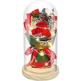 HVY Christmas Day Gifts for Women,Preserved Flowers Bouquet in Glass with LED Light,Flowers Fresh Bouquets for Her,Preserved Rose for Valentine's Day,Anniversary,Birthdays,Red Rose