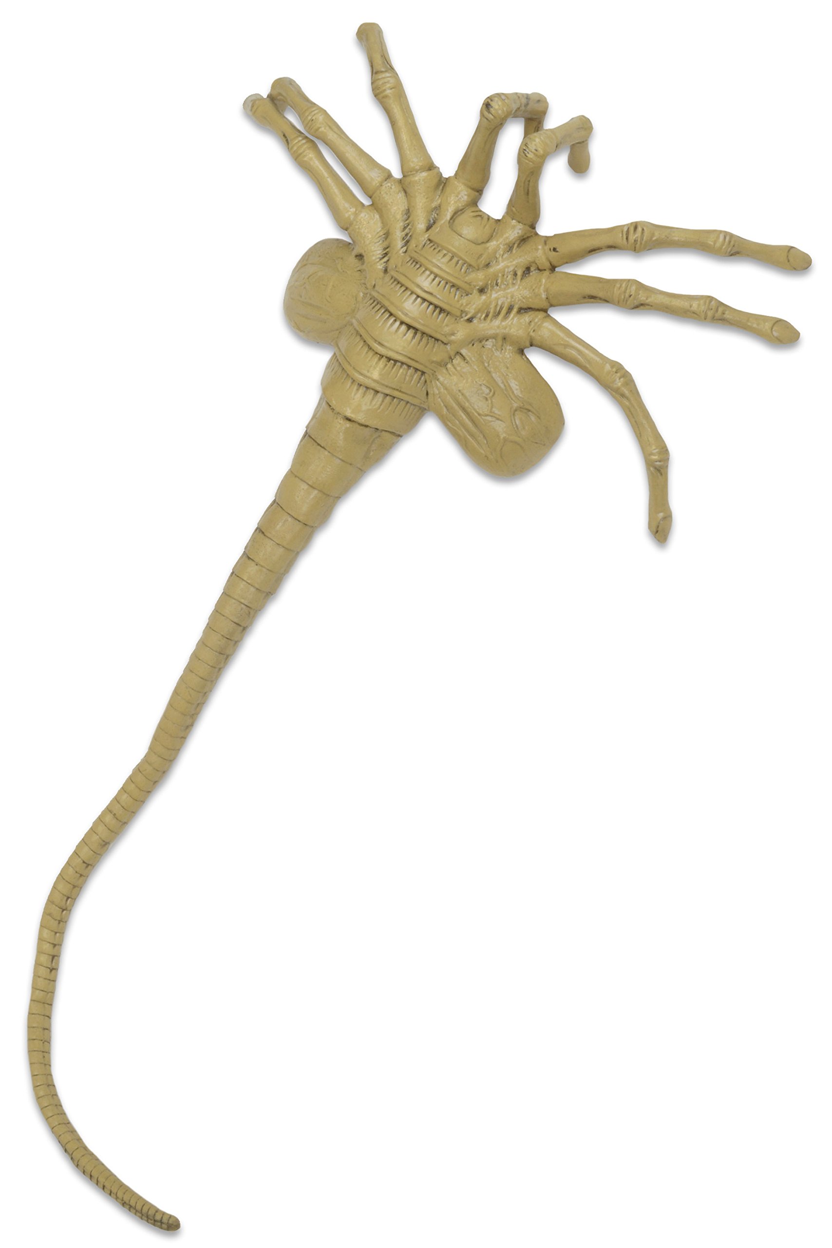 Alien 51355 Life Size Facehugger Foam Prop Replica