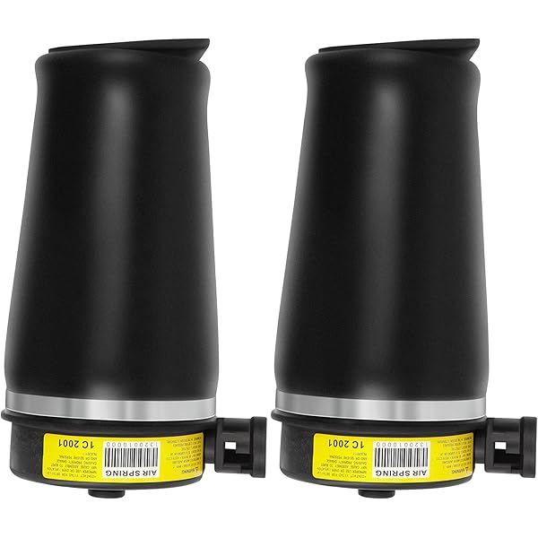 Shop Authentic A daily low price store LSAILON 2PCS Rear Air Spring