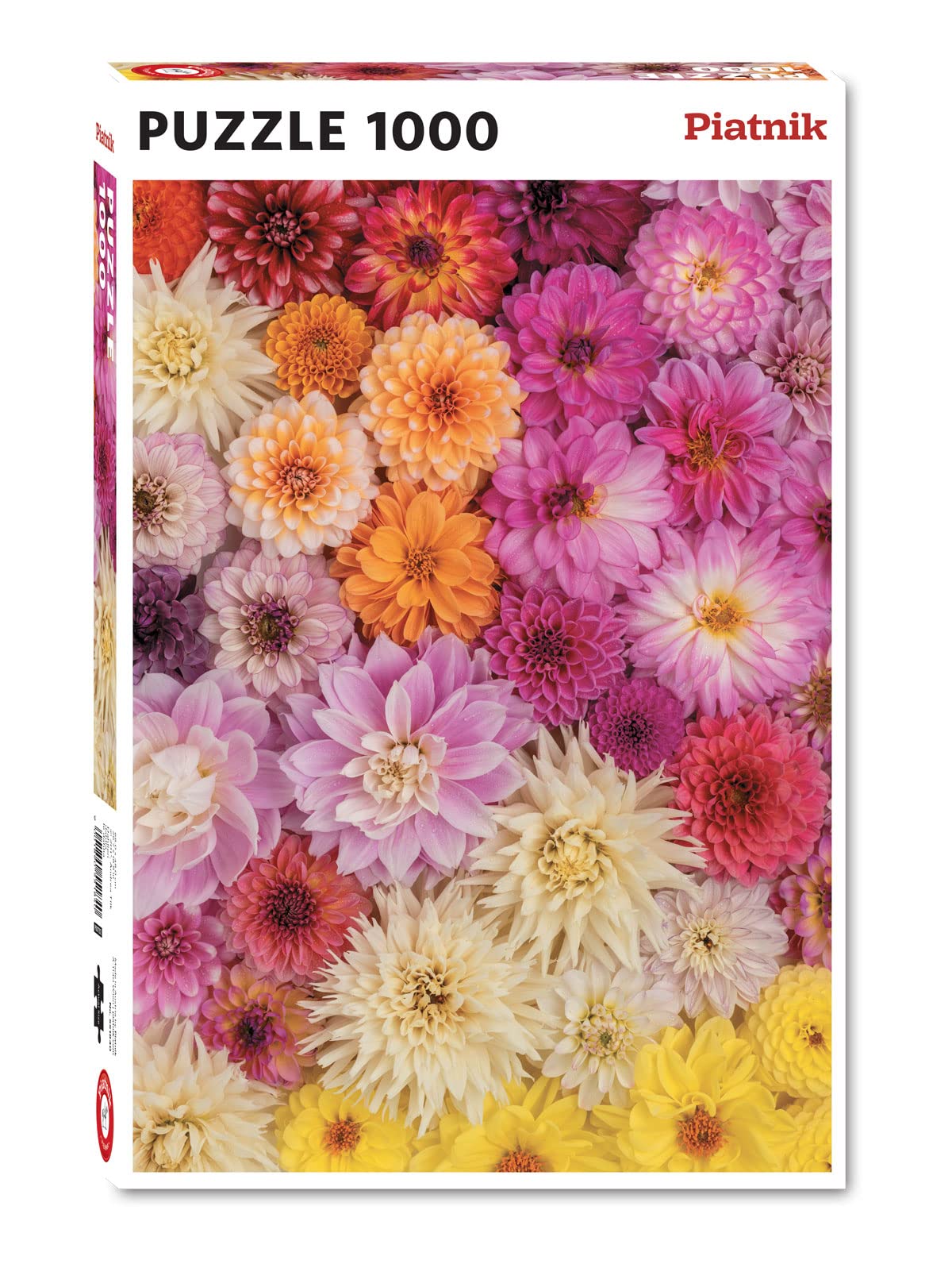 Piatnik PIA5518 Accessories