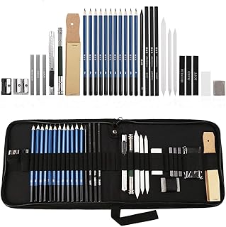 Lypumso Skizzierstifte Set Bleistifte für Skizzieren und Zeichnen Profi Art Set mit Graphitkohlestifte Sticks Werkzeuge und Kit Bag 33 Stück