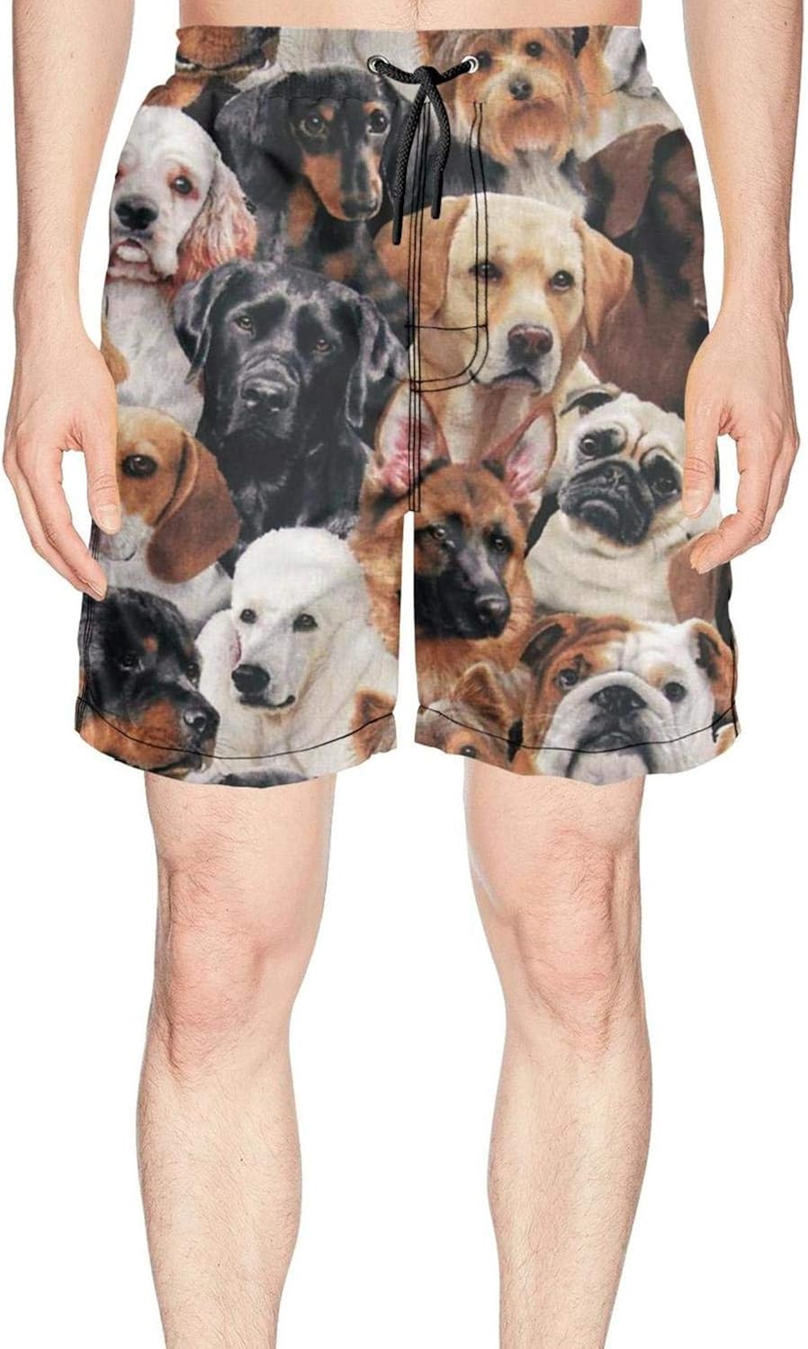 Mens Dog Breeds Retriever Beagle Shepherd Swim Trunks Watersports Outdoor Water Sports Stretch Boardshorts