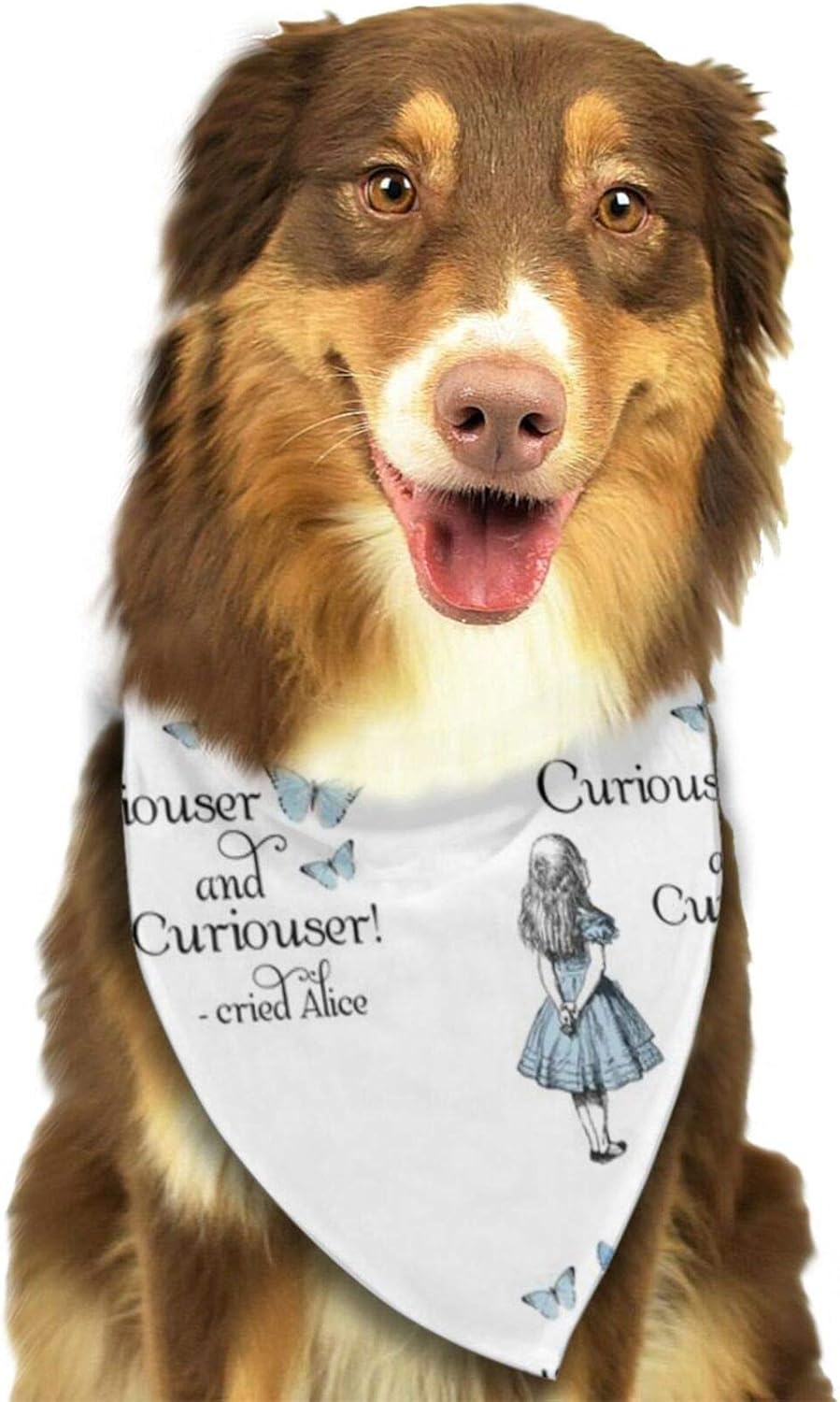 small dog accessories amazon