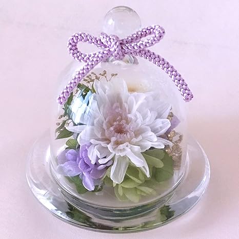 Amazon プリザーブドフラワー 花 お供え お悔やみ 仏花 仏壇用 お盆 供養 法事 1周忌 3回忌 ペット ドーム まめ菊 ホワイト プリザーブドフラワー オンライン通販 Amazon プリザーブドフラワー 花 お供え お悔やみ 仏花 仏壇用 お盆 供養 法事 1周忌 3回忌 ペット ドーム まめ菊 ホワイト プリザーブドフラワー オンライン通販