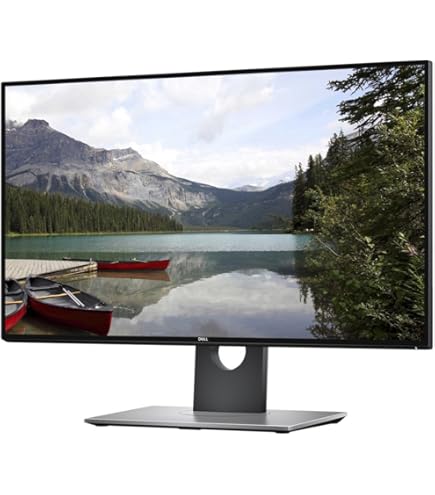 DELL 27インチモニター　U2717D　① Amazon.com: Dell U2717D IPS 27