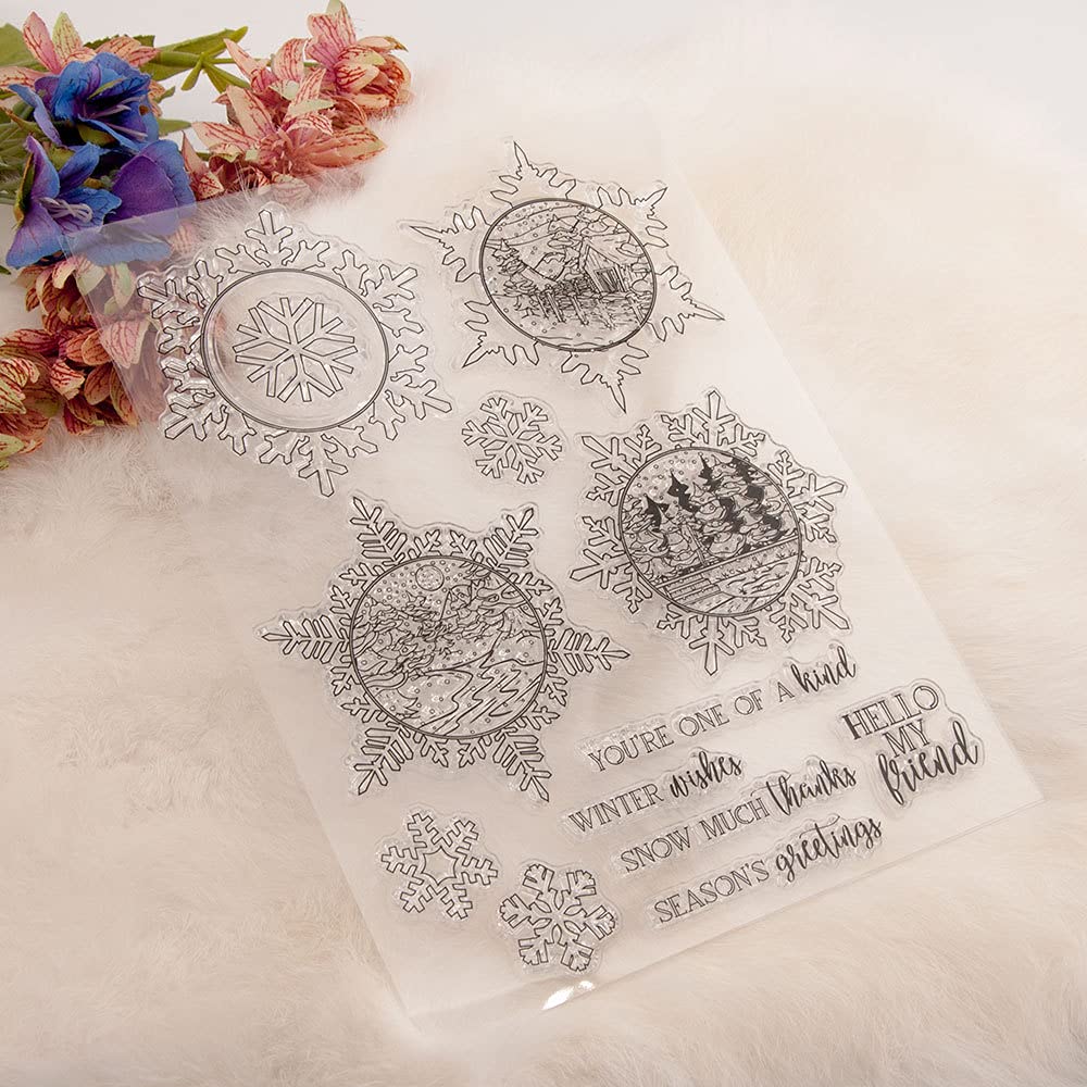 View 5