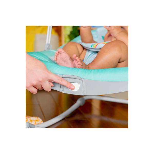 BRIGHT STARTS WILD VIBES INFANT TO TODDLER ROCKER WITH VIBRATIONS, UNISEX, NEWBORN +