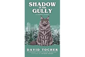 Shadow in the Gully: An Absolutely Gripping and Unputdownable Standalone Short Story with a Paranormal Twist