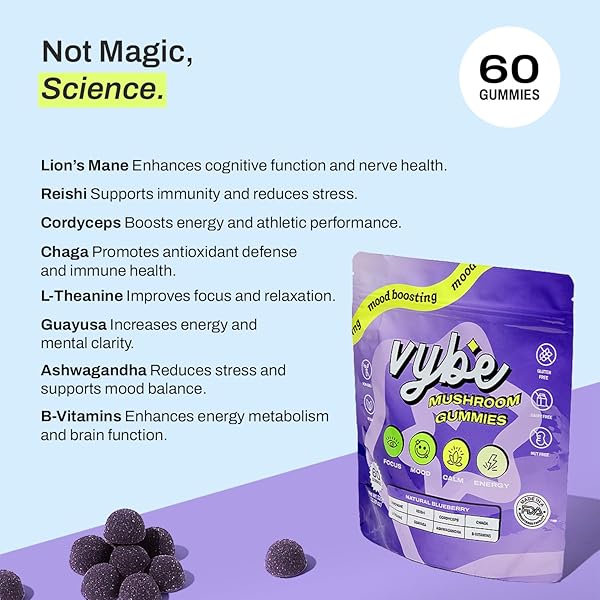VYBE DAILY NOOTROPIC GUMMIES – 8-IN-1 MUSHROOM & ADAPTOGEN BRAIN SUPPLEMENT FOR FOCUS, ENERGY, AND MOOD WITH LION’S MANE, CORDYCEPS, REISHI, CHAGA, ASHWAGANDHA (BLUEBERRY, 60-COUNT)