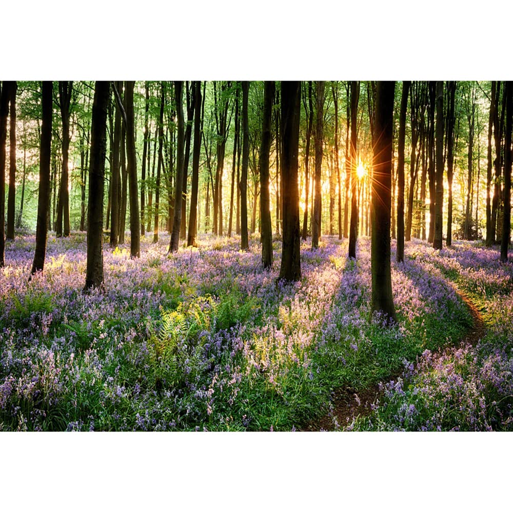 Aoihrraan 2,7x1,8m Violets Forest Backdrop Purple Flowers Woods Sunshine Park Scenery Photography Background Summer Holiday Travel Vacation Party Wedding Shoots Portrait Wallpaper Photo Studio Props