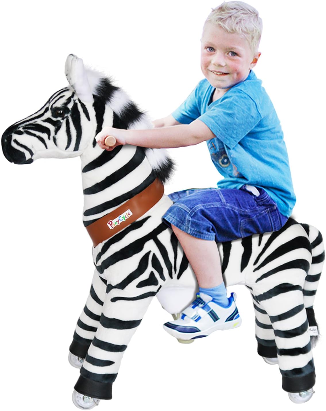 ponycycle zebra