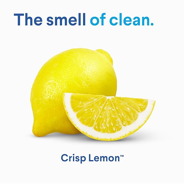CLOROX DISINFECTING ALL PURPOSE CLEANER, BLEACH FREE, CRISP LEMON, 32 FLUID OUNCES (PACK MAY VARY)