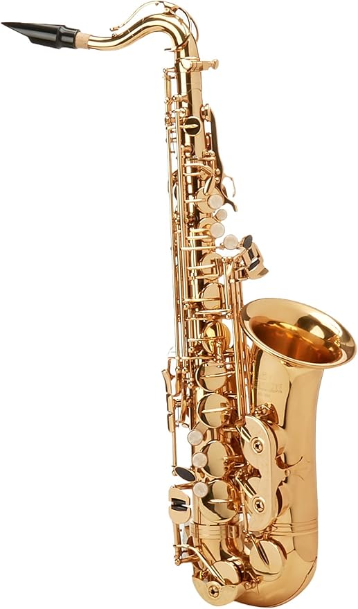 Roy Benson MOD.AS201 EB Alto Lacquered Finish Saxophone with Case