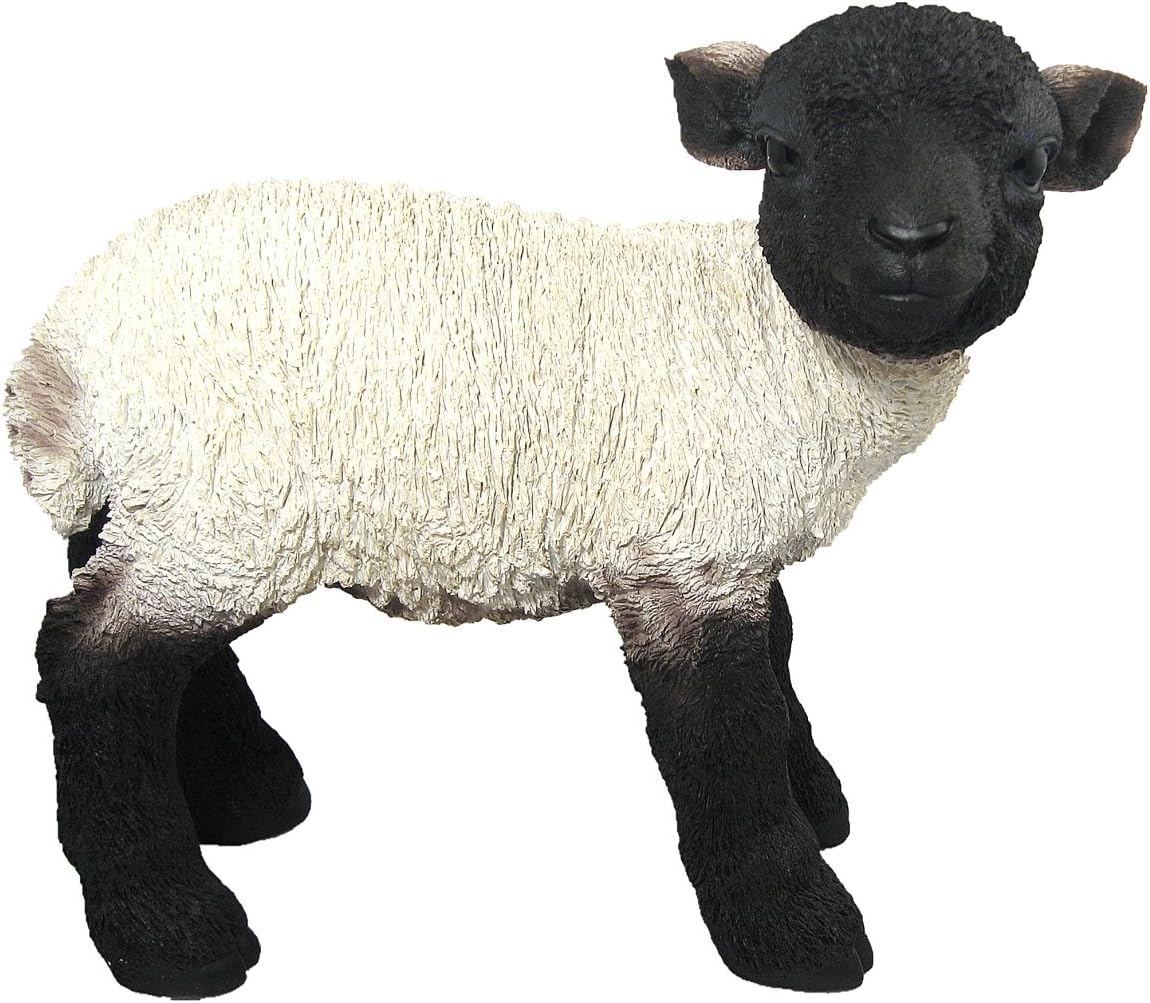 Vivid Arts Real Life Lamb - Black/White (Large - Size B), White,Black