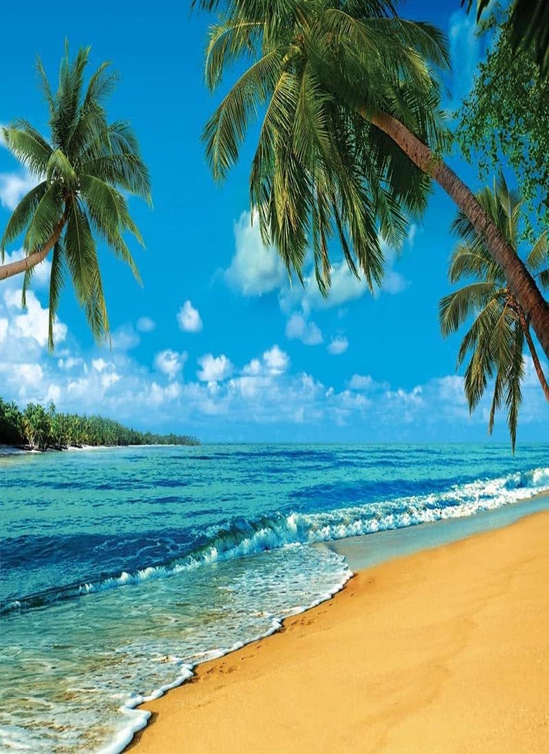 Haosphoto 5X7FT/150X210cm Tropical Beach Backdrop Seaside Backdrops for Photography Palm Trees Blue Sky White Cloud Luau Summer Vinyl Photo Background Ocean Sailing Journey Studio Props CA111