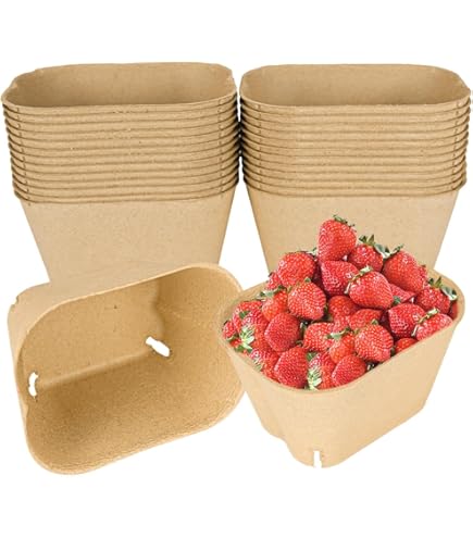Aazon.co: 60 Pack Natural Pulp Fiber Berry Basket, Olded Produce