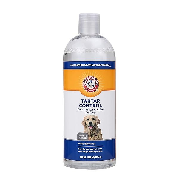 ARM & HAMMER DOG WATER ADDITIVE FOR DENTAL CARE – BAD BREATH ELIMINATOR FOR DOGS & DOG BREATH FRESHENER – DOG TOOTH PLAQUE CLEANER & DOG TARTAR REMOVER – 16 FL OZ DENTAL RINSE FOR DOGS – PACK OF 1