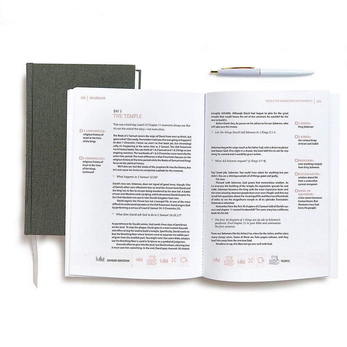 Seamless: Understanding the Bible as One Complete Story (Member Book)