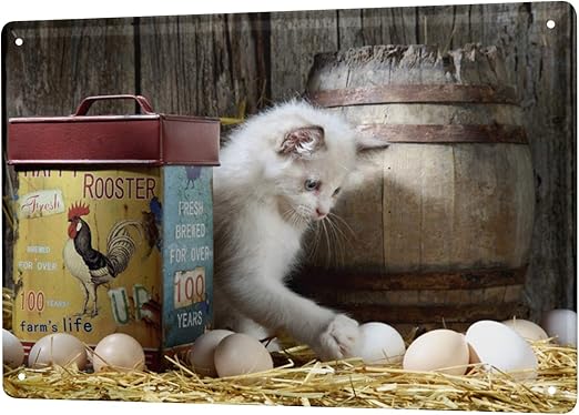 Amazon Com Tin Sign Xxl Cat Breed Puppy Hay Barn Eggs Home Kitchen